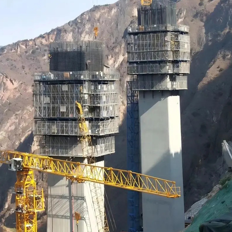 Cassaforma rampicante