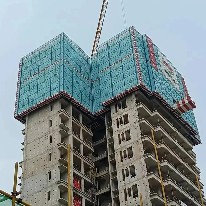 Cassaforma rampicante